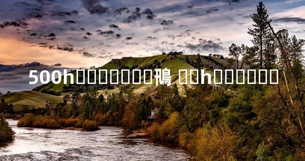 500һ���⵽ɶ�ӻ鳵 ��һ�����Ǯ